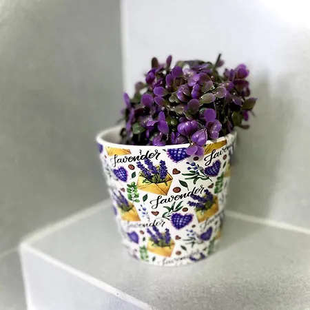 Melody Διαμέρισμα Τίρανα