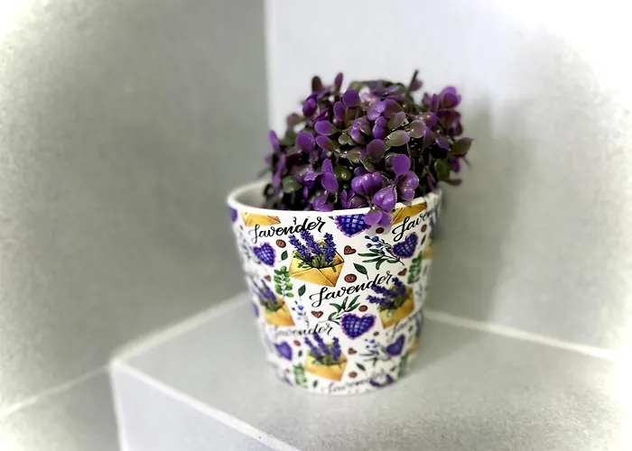 Melody דירה טיראנה